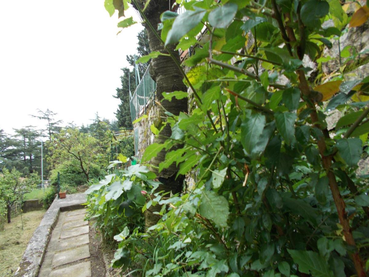 La Vecchia Locanda Castelnuovo di Val di Cecina Dış mekan fotoğraf