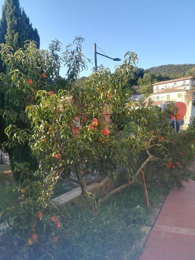 La Vecchia Locanda Castelnuovo di Val di Cecina Dış mekan fotoğraf